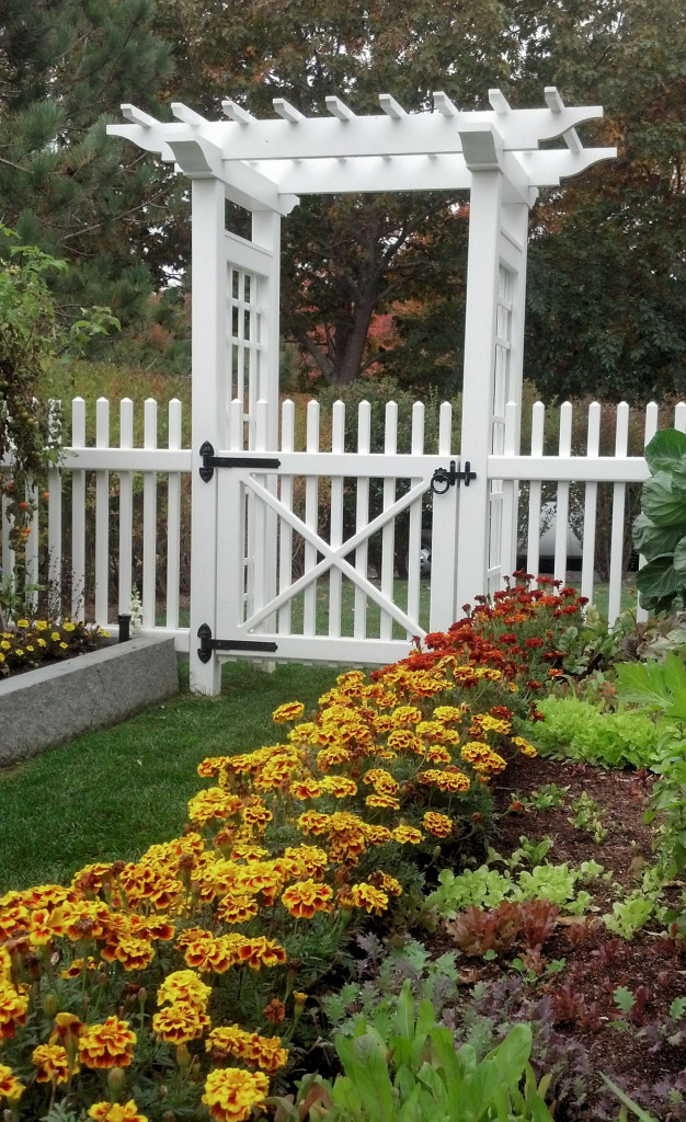 Custom Vinyl Fence Custom Fence Orlando